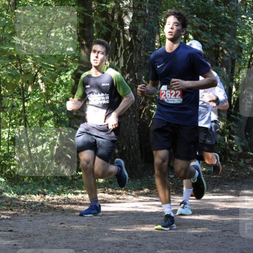 28.09.2025 - 33. Volkslauf durch das schöne Alstertal Strokosch-Dieckow http://msf.ph/oto/8970940 28.09.2025 12:03:40 Laufen 2622 meine-sportfotos.de