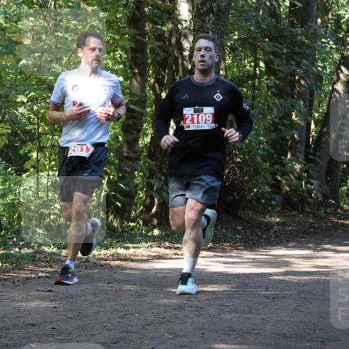 28.09.2025 - 33. Volkslauf durch das schöne Alstertal Strokosch-Dieckow http://msf.ph/oto/8970944 28.09.2025 12:03:42 Laufen 261, 2109 meine-sportfotos.de
