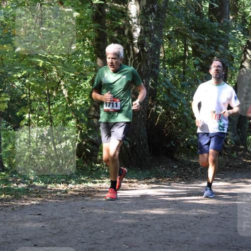 28.09.2025 - 33. Volkslauf durch das schöne Alstertal Strokosch-Dieckow http://msf.ph/oto/8970946 28.09.2025 12:03:53 Laufen 1711, 3947 meine-sportfotos.de