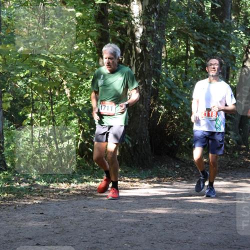 28.09.2025 - 33. Volkslauf durch das schöne Alstertal Strokosch-Dieckow http://msf.ph/oto/8970947 28.09.2025 12:03:53 Laufen  meine-sportfotos.de