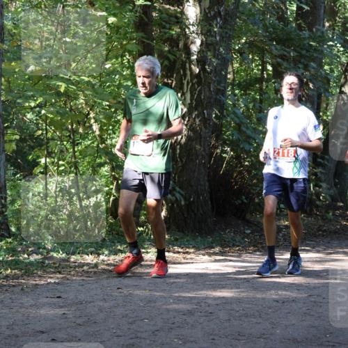 28.09.2025 - 33. Volkslauf durch das schöne Alstertal Strokosch-Dieckow http://msf.ph/oto/8970948 28.09.2025 12:03:53 Laufen 2118 meine-sportfotos.de