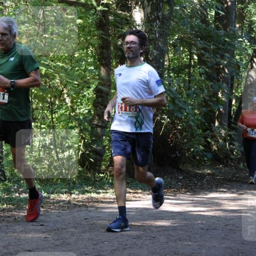 28.09.2025 - 33. Volkslauf durch das schöne Alstertal Strokosch-Dieckow http://msf.ph/oto/8970950 28.09.2025 12:03:54 Laufen 1711 meine-sportfotos.de