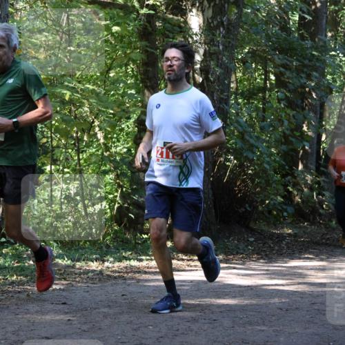 28.09.2025 - 33. Volkslauf durch das schöne Alstertal Strokosch-Dieckow http://msf.ph/oto/8970951 28.09.2025 12:03:54 Laufen 2, 21, 3947 meine-sportfotos.de