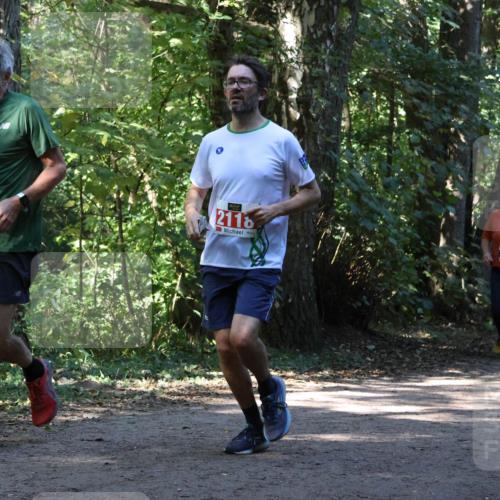 28.09.2025 - 33. Volkslauf durch das schöne Alstertal Strokosch-Dieckow http://msf.ph/oto/8970952 28.09.2025 12:03:54 Laufen 1711, 2118, 3947 meine-sportfotos.de
