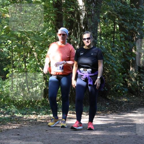 28.09.2025 - 33. Volkslauf durch das schöne Alstertal Strokosch-Dieckow http://msf.ph/oto/8970953 28.09.2025 12:03:59 Laufen 80 meine-sportfotos.de