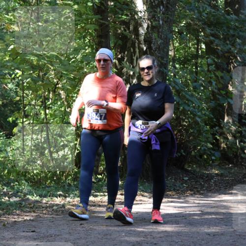 28.09.2025 - 33. Volkslauf durch das schöne Alstertal Strokosch-Dieckow http://msf.ph/oto/8970954 28.09.2025 12:03:59 Laufen 3947 meine-sportfotos.de