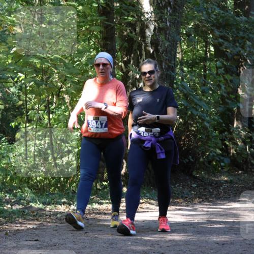 28.09.2025 - 33. Volkslauf durch das schöne Alstertal Strokosch-Dieckow http://msf.ph/oto/8970955 28.09.2025 12:03:59 Laufen  meine-sportfotos.de