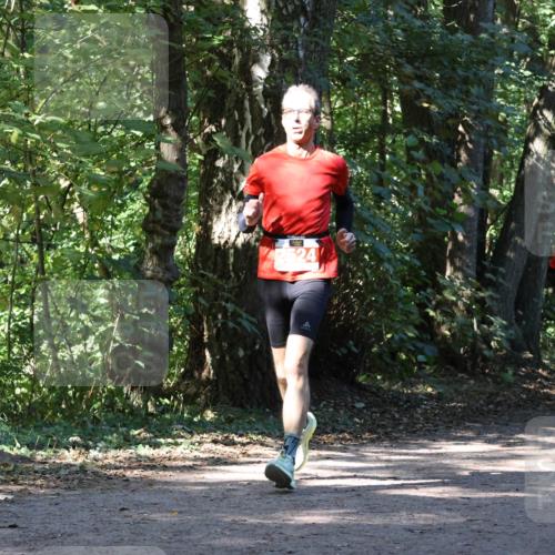 28.09.2025 - 33. Volkslauf durch das schöne Alstertal Strokosch-Dieckow http://msf.ph/oto/8970957 28.09.2025 12:04:04 Laufen 24, 2633, 2014 meine-sportfotos.de