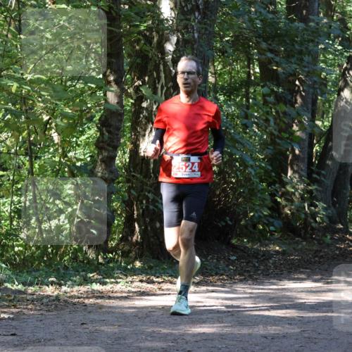 28.09.2025 - 33. Volkslauf durch das schöne Alstertal Strokosch-Dieckow http://msf.ph/oto/8970958 28.09.2025 12:04:04 Laufen 2524, 2633 meine-sportfotos.de