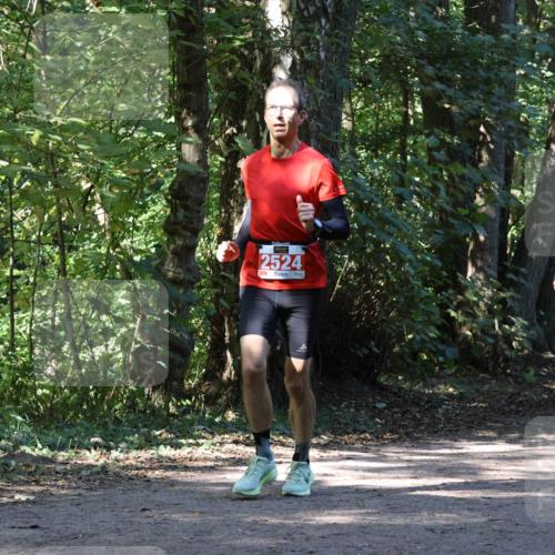 28.09.2025 - 33. Volkslauf durch das schöne Alstertal Strokosch-Dieckow http://msf.ph/oto/8970960 28.09.2025 12:04:04 Laufen 2524 meine-sportfotos.de