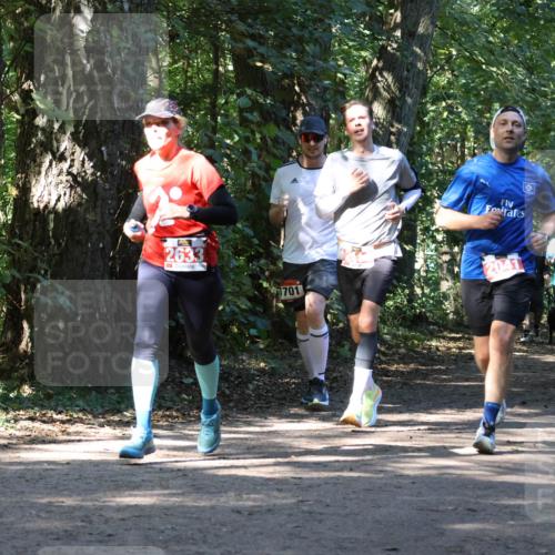 28.09.2025 - 33. Volkslauf durch das schöne Alstertal Strokosch-Dieckow http://msf.ph/oto/8970961 28.09.2025 12:04:05 Laufen 2633, 1701, 2041, 1031 meine-sportfotos.de
