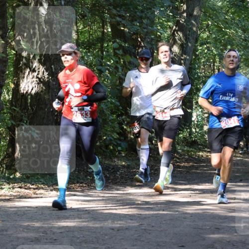 28.09.2025 - 33. Volkslauf durch das schöne Alstertal Strokosch-Dieckow http://msf.ph/oto/8970962 28.09.2025 12:04:05 Laufen 2633, 701, 2041 meine-sportfotos.de