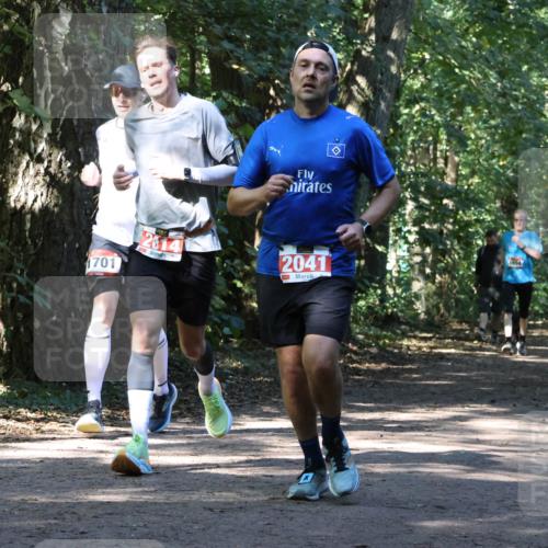 28.09.2025 - 33. Volkslauf durch das schöne Alstertal Strokosch-Dieckow http://msf.ph/oto/8970968 28.09.2025 12:04:06 Laufen 1701, 2041 meine-sportfotos.de
