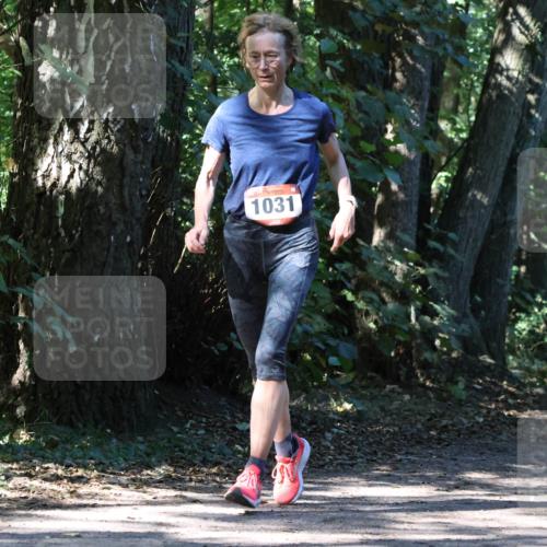 28.09.2025 - 33. Volkslauf durch das schöne Alstertal Strokosch-Dieckow http://msf.ph/oto/8970975 28.09.2025 12:04:17 Laufen 1031 meine-sportfotos.de