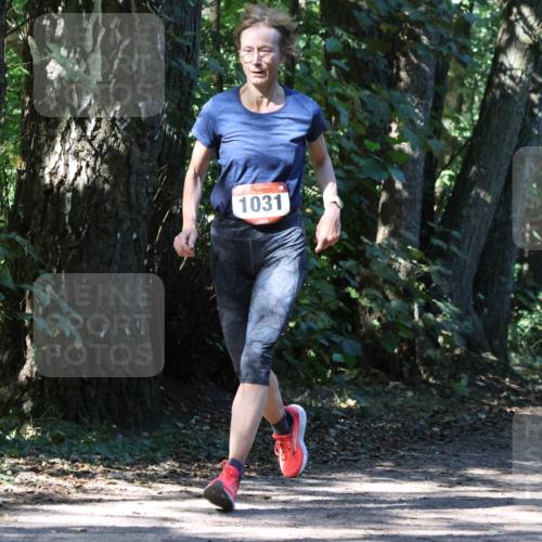 28.09.2025 - 33. Volkslauf durch das schöne Alstertal Strokosch-Dieckow http://msf.ph/oto/8970976 28.09.2025 12:04:17 Laufen 1031 meine-sportfotos.de