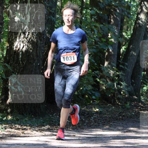 28.09.2025 - 33. Volkslauf durch das schöne Alstertal Strokosch-Dieckow http://msf.ph/oto/8970977 28.09.2025 12:04:17 Laufen 1031 meine-sportfotos.de