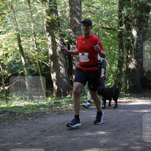 28.09.2025 - 33. Volkslauf durch das schöne Alstertal Strokosch-Dieckow http://msf.ph/oto/8970991 28.09.2025 12:04:32 Laufen 2006 meine-sportfotos.de
