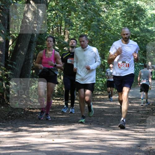 28.09.2025 - 33. Volkslauf durch das schöne Alstertal Strokosch-Dieckow http://msf.ph/oto/8970992 28.09.2025 12:04:37 Laufen 18, 2581, 2114 meine-sportfotos.de