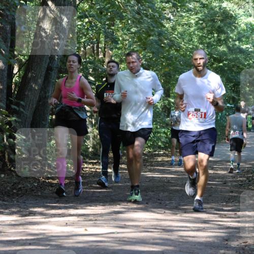 28.09.2025 - 33. Volkslauf durch das schöne Alstertal Strokosch-Dieckow http://msf.ph/oto/8970994 28.09.2025 12:04:37 Laufen 130, 2581 meine-sportfotos.de