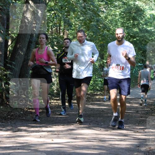 28.09.2025 - 33. Volkslauf durch das schöne Alstertal Strokosch-Dieckow http://msf.ph/oto/8970995 28.09.2025 12:04:37 Laufen 1805, 2581, 2114 meine-sportfotos.de