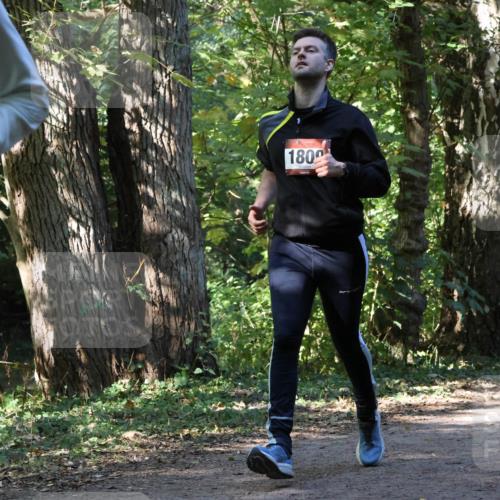 28.09.2025 - 33. Volkslauf durch das schöne Alstertal Strokosch-Dieckow http://msf.ph/oto/8970998 28.09.2025 12:04:42 Laufen 1800 meine-sportfotos.de
