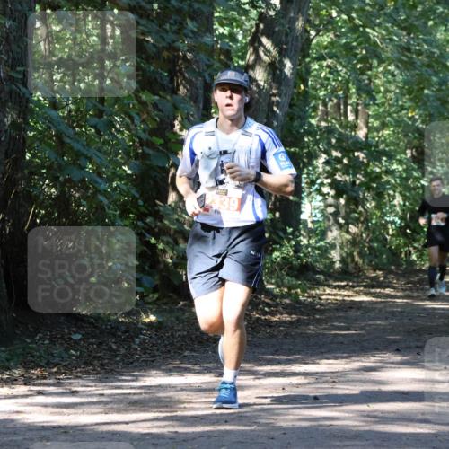 28.09.2025 - 33. Volkslauf durch das schöne Alstertal Strokosch-Dieckow http://msf.ph/oto/8971002 28.09.2025 12:04:46 Laufen 339 meine-sportfotos.de