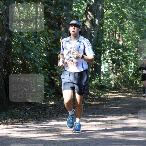 28.09.2025 - 33. Volkslauf durch das schöne Alstertal Strokosch-Dieckow http://msf.ph/oto/8971003 28.09.2025 12:04:46 Laufen 2339 meine-sportfotos.de