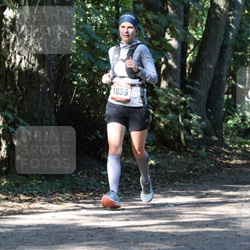 28.09.2025 - 33. Volkslauf durch das schöne Alstertal Strokosch-Dieckow http://msf.ph/oto/8971012 28.09.2025 12:04:58 Laufen 1036, 2267 meine-sportfotos.de