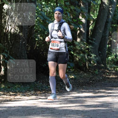 28.09.2025 - 33. Volkslauf durch das schöne Alstertal Strokosch-Dieckow http://msf.ph/oto/8971013 28.09.2025 12:04:59 Laufen 1036, 2201 meine-sportfotos.de
