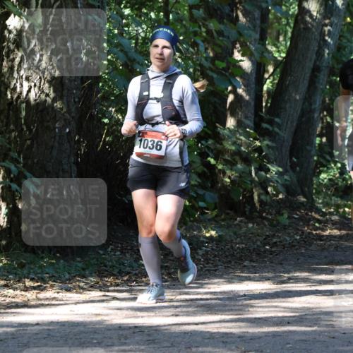 28.09.2025 - 33. Volkslauf durch das schöne Alstertal Strokosch-Dieckow http://msf.ph/oto/8971014 28.09.2025 12:04:59 Laufen 1036, 2267 meine-sportfotos.de