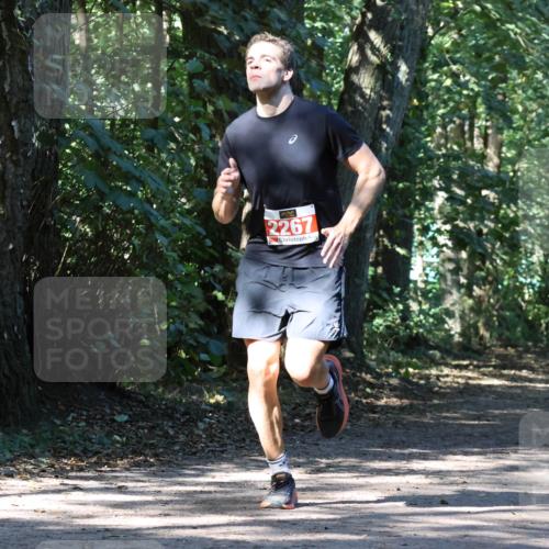28.09.2025 - 33. Volkslauf durch das schöne Alstertal Strokosch-Dieckow http://msf.ph/oto/8971018 28.09.2025 12:05:00 Laufen 2267 meine-sportfotos.de