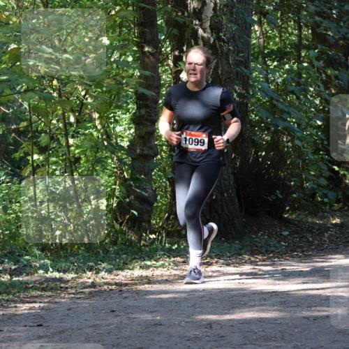28.09.2025 - 33. Volkslauf durch das schöne Alstertal Strokosch-Dieckow http://msf.ph/oto/8971026 28.09.2025 12:05:26 Laufen 1099 meine-sportfotos.de