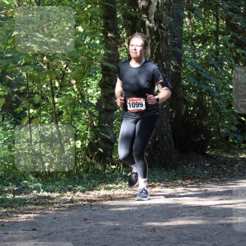 28.09.2025 - 33. Volkslauf durch das schöne Alstertal Strokosch-Dieckow http://msf.ph/oto/8971027 28.09.2025 12:05:26 Laufen 1099 meine-sportfotos.de