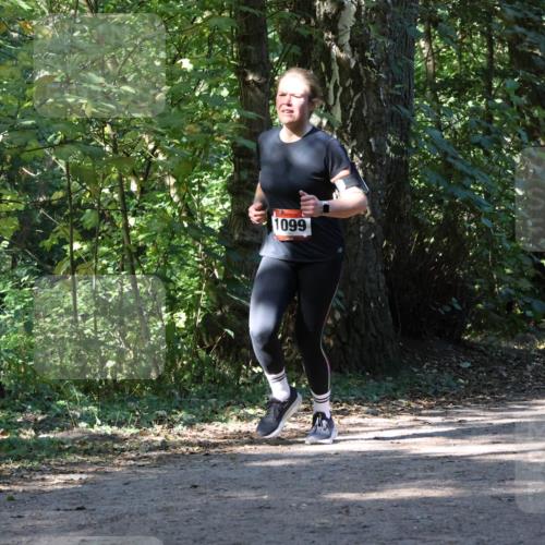 28.09.2025 - 33. Volkslauf durch das schöne Alstertal Strokosch-Dieckow http://msf.ph/oto/8971028 28.09.2025 12:05:26 Laufen 1099 meine-sportfotos.de