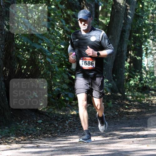 28.09.2025 - 33. Volkslauf durch das schöne Alstertal Strokosch-Dieckow http://msf.ph/oto/8971029 28.09.2025 12:05:28 Laufen 1686 meine-sportfotos.de