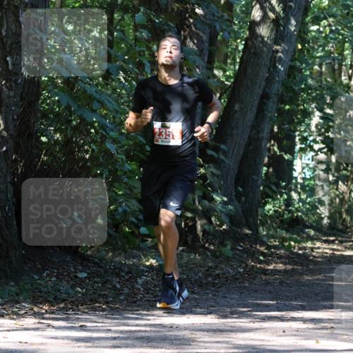28.09.2025 - 33. Volkslauf durch das schöne Alstertal Strokosch-Dieckow http://msf.ph/oto/8971033 28.09.2025 12:05:33 Laufen 2359, 1677, 513 meine-sportfotos.de