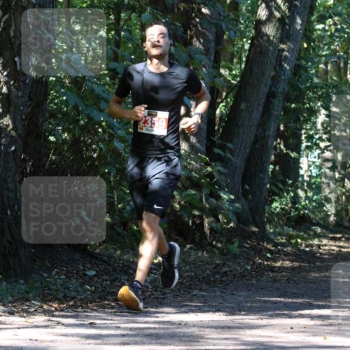 28.09.2025 - 33. Volkslauf durch das schöne Alstertal Strokosch-Dieckow http://msf.ph/oto/8971036 28.09.2025 12:05:33 Laufen 2359, 167, 2513 meine-sportfotos.de