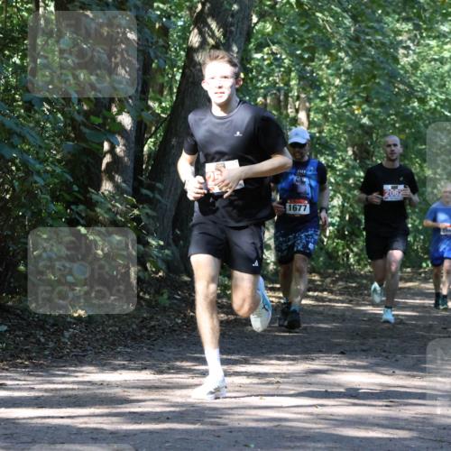 28.09.2025 - 33. Volkslauf durch das schöne Alstertal Strokosch-Dieckow http://msf.ph/oto/8971037 28.09.2025 12:05:35 Laufen 1677, 2062 meine-sportfotos.de
