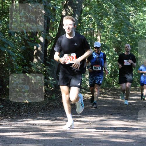 28.09.2025 - 33. Volkslauf durch das schöne Alstertal Strokosch-Dieckow http://msf.ph/oto/8971038 28.09.2025 12:05:35 Laufen 2513, 1677, 206 meine-sportfotos.de