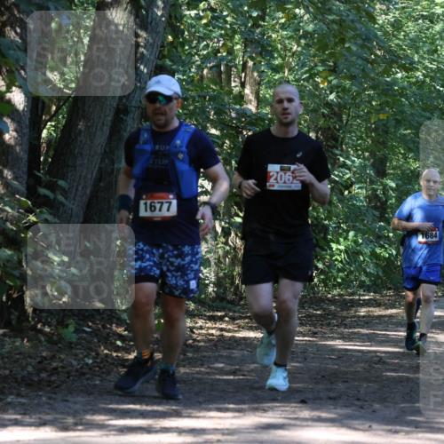 28.09.2025 - 33. Volkslauf durch das schöne Alstertal Strokosch-Dieckow http://msf.ph/oto/8971039 28.09.2025 12:05:36 Laufen 1677, 2062, 1684 meine-sportfotos.de