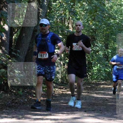 28.09.2025 - 33. Volkslauf durch das schöne Alstertal Strokosch-Dieckow http://msf.ph/oto/8971040 28.09.2025 12:05:36 Laufen 2062, 1677, 1684 meine-sportfotos.de