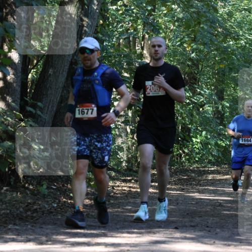 28.09.2025 - 33. Volkslauf durch das schöne Alstertal Strokosch-Dieckow http://msf.ph/oto/8971041 28.09.2025 12:05:36 Laufen 1677, 206, 1684, 2598 meine-sportfotos.de