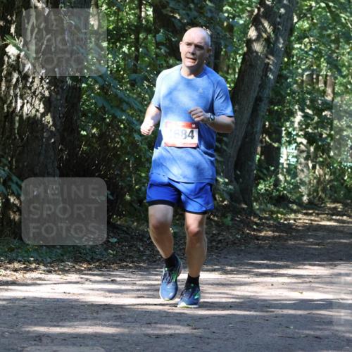 28.09.2025 - 33. Volkslauf durch das schöne Alstertal Strokosch-Dieckow http://msf.ph/oto/8971044 28.09.2025 12:05:44 Laufen 1684, 1128, 2598 meine-sportfotos.de