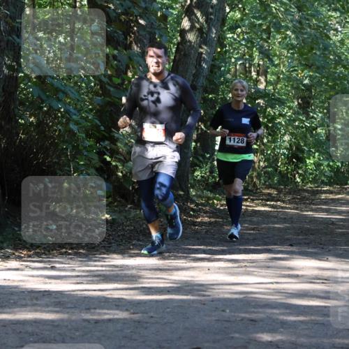 28.09.2025 - 33. Volkslauf durch das schöne Alstertal Strokosch-Dieckow http://msf.ph/oto/8971048 28.09.2025 12:05:47 Laufen 1128 meine-sportfotos.de
