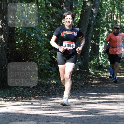 28.09.2025 - 33. Volkslauf durch das schöne Alstertal Strokosch-Dieckow http://msf.ph/oto/8971050 28.09.2025 12:06:05 Laufen 14, 1054, 1067 meine-sportfotos.de