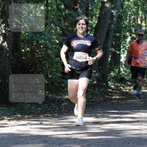 28.09.2025 - 33. Volkslauf durch das schöne Alstertal Strokosch-Dieckow http://msf.ph/oto/8971051 28.09.2025 12:06:05 Laufen 054, 106 meine-sportfotos.de