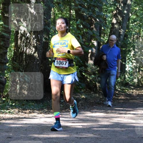 28.09.2025 - 33. Volkslauf durch das schöne Alstertal Strokosch-Dieckow http://msf.ph/oto/8971058 28.09.2025 12:06:12 Laufen 1067, 1702 meine-sportfotos.de