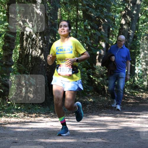 28.09.2025 - 33. Volkslauf durch das schöne Alstertal Strokosch-Dieckow http://msf.ph/oto/8971059 28.09.2025 12:06:12 Laufen 1067, 1702 meine-sportfotos.de