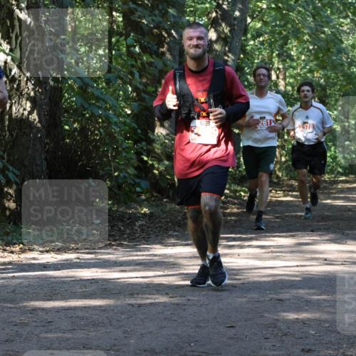 28.09.2025 - 33. Volkslauf durch das schöne Alstertal Strokosch-Dieckow http://msf.ph/oto/8971065 28.09.2025 12:06:17 Laufen 1702, 261, 2578, 2494 meine-sportfotos.de
