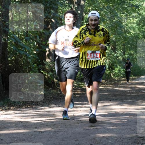 28.09.2025 - 33. Volkslauf durch das schöne Alstertal Strokosch-Dieckow http://msf.ph/oto/8971070 28.09.2025 12:06:20 Laufen 261, 2578, 55, 2494 meine-sportfotos.de